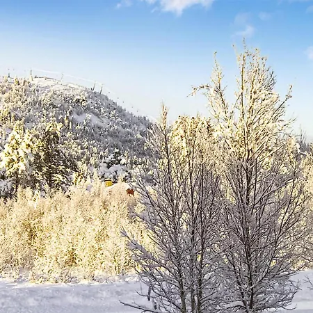 Semesterbostad Peer Gyntlia Iii