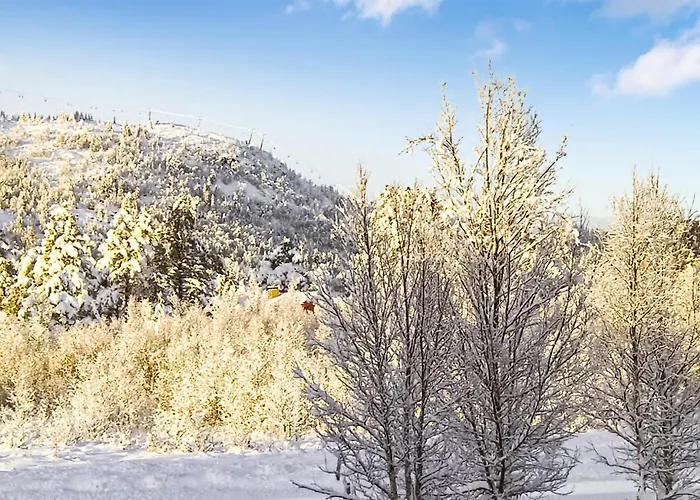 Semesterbostad Peer Gyntlia Iii